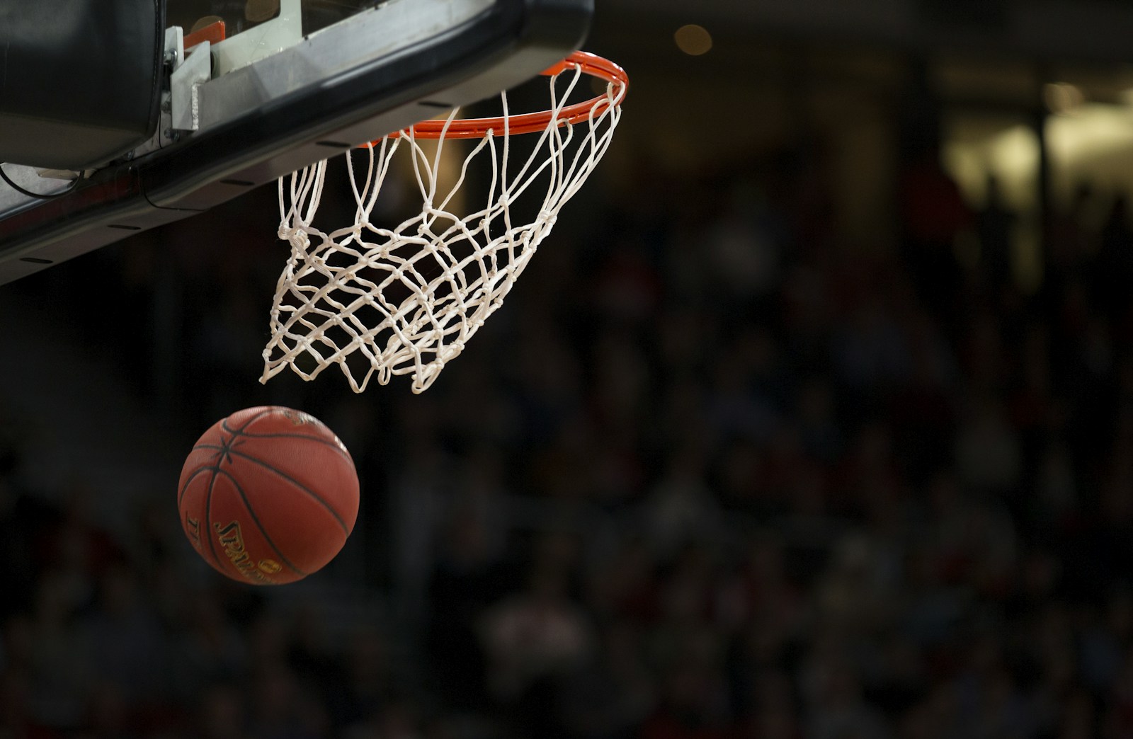 体育场景配图（资料示意）